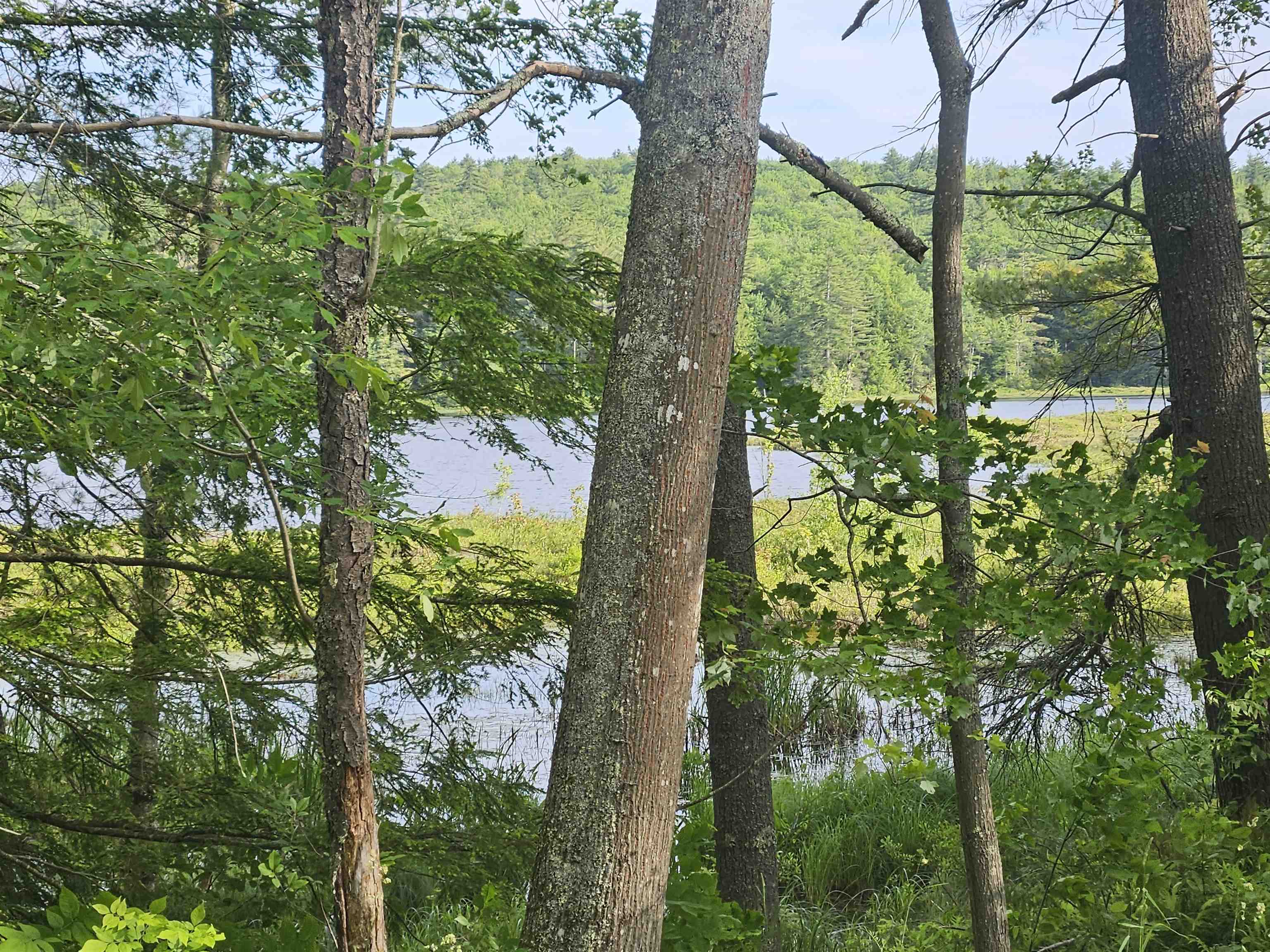 53 Tan Road