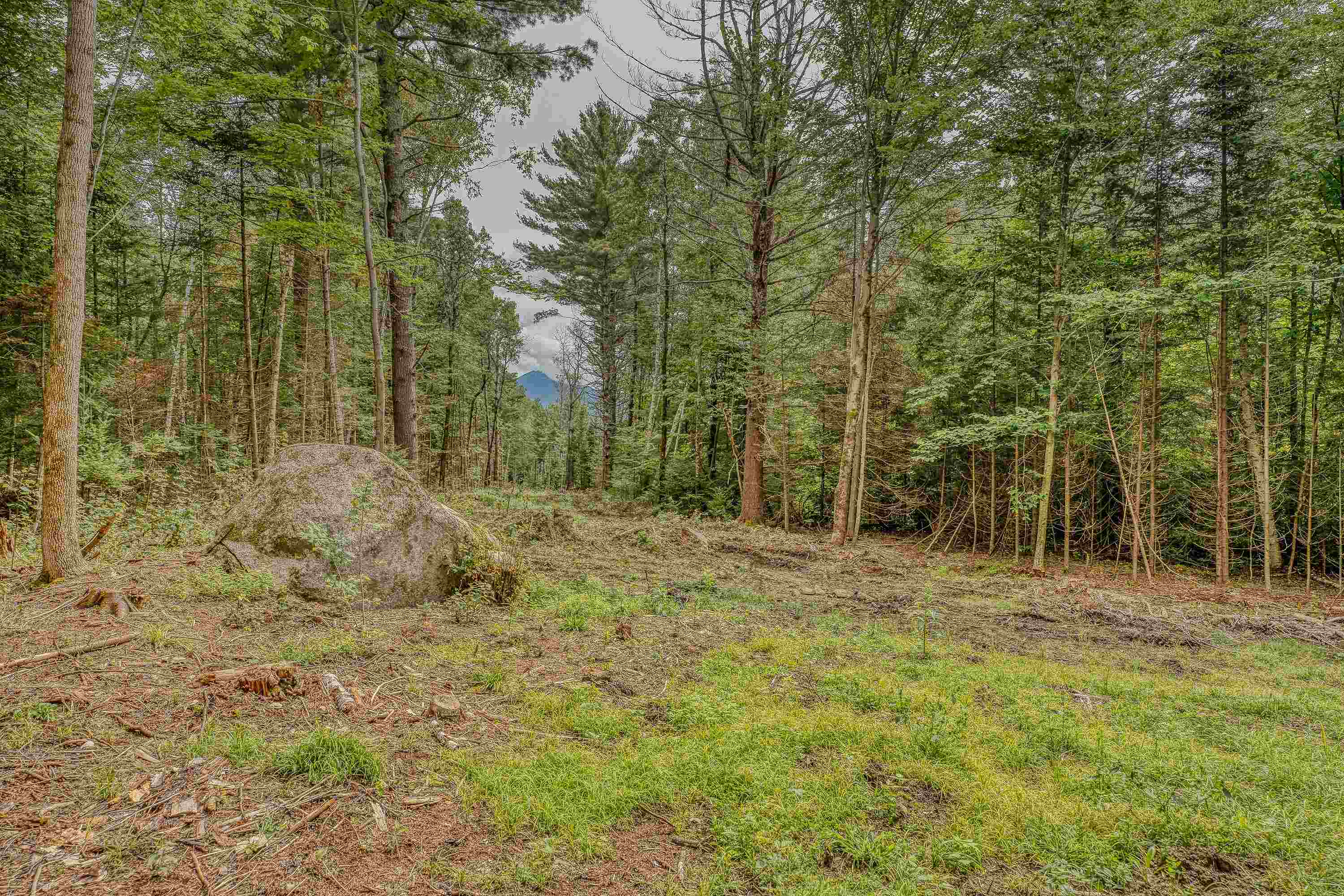 00 Ridge Road 42