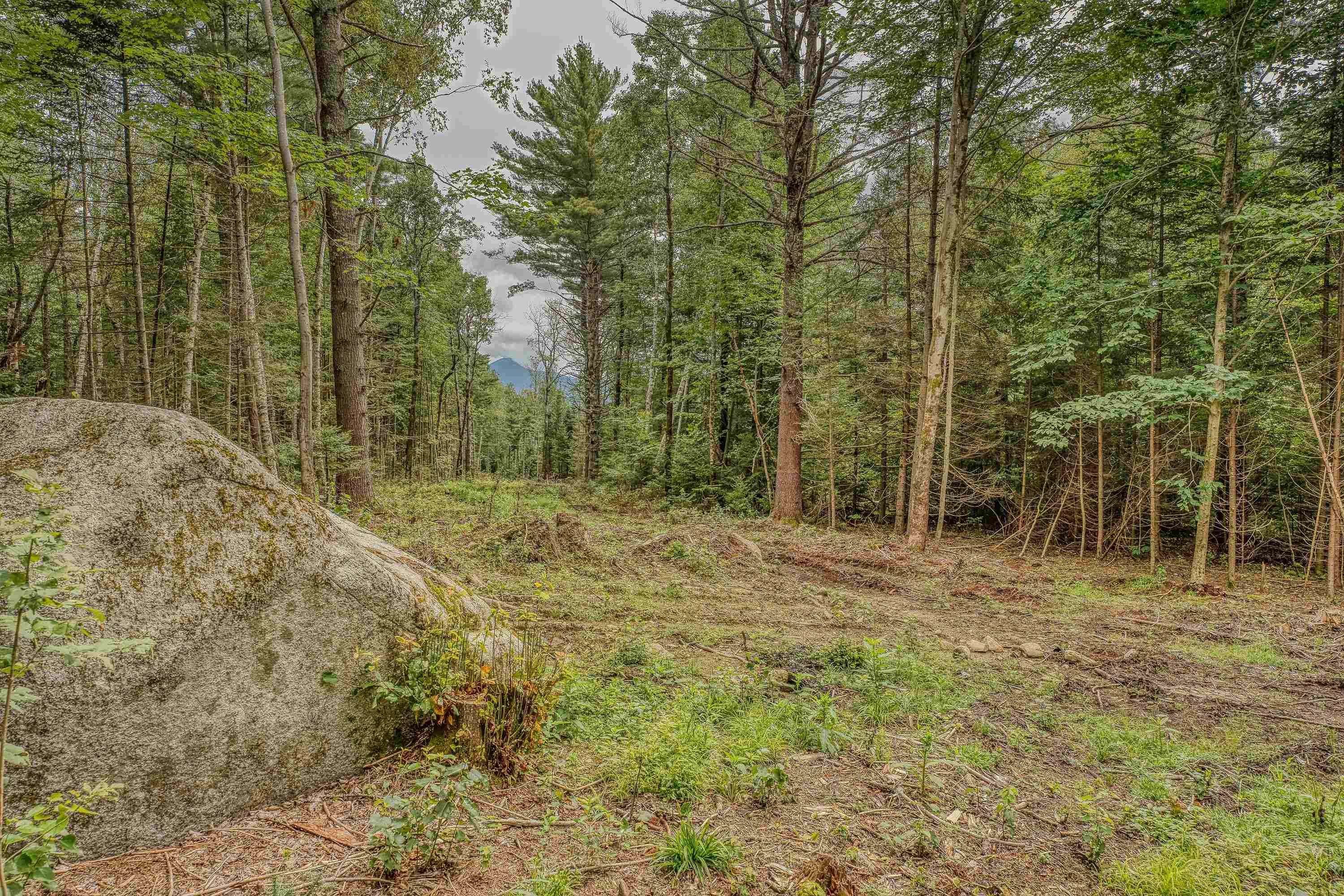 00 Ridge Road 42
