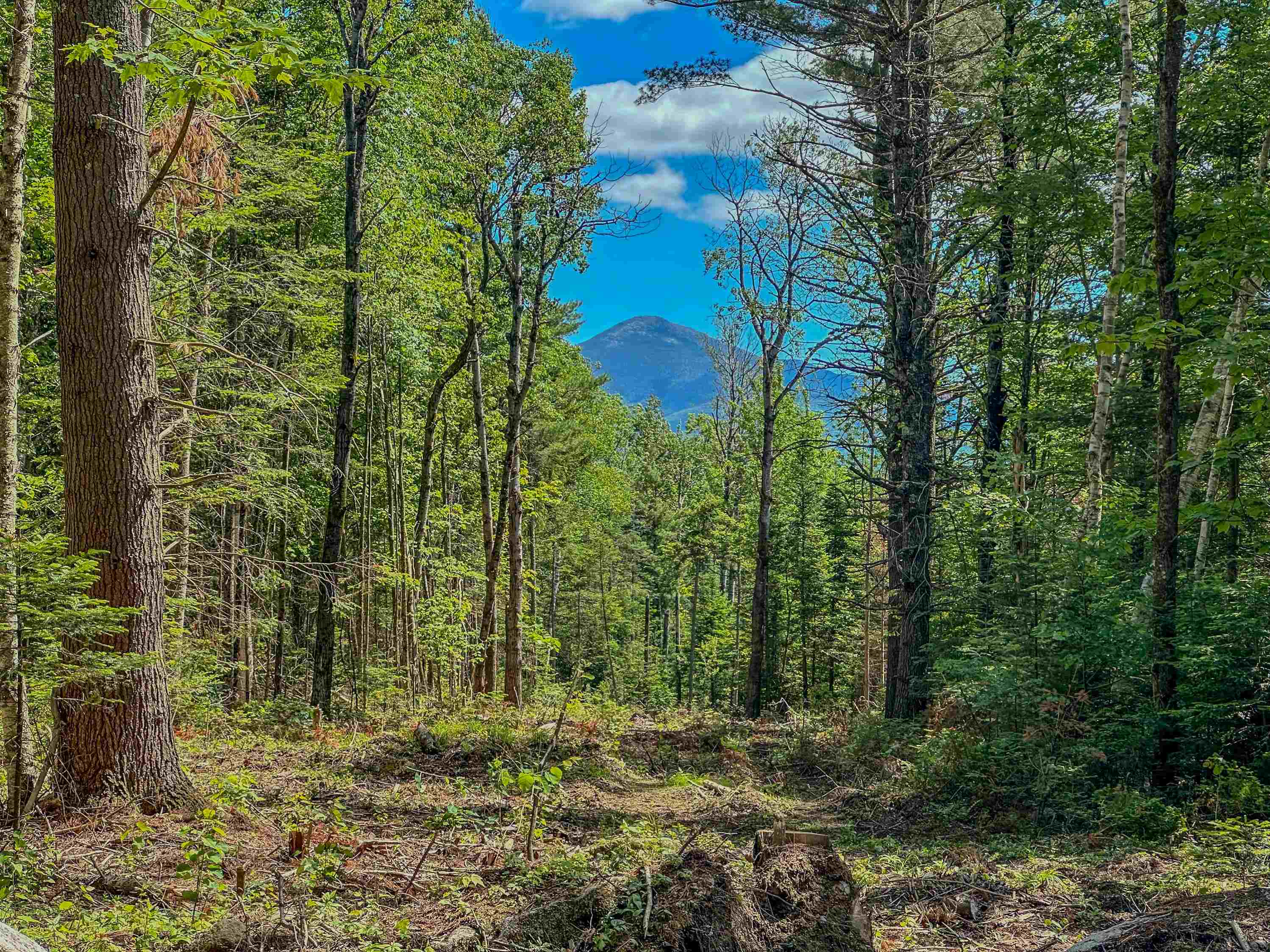 00 Ridge Road 42