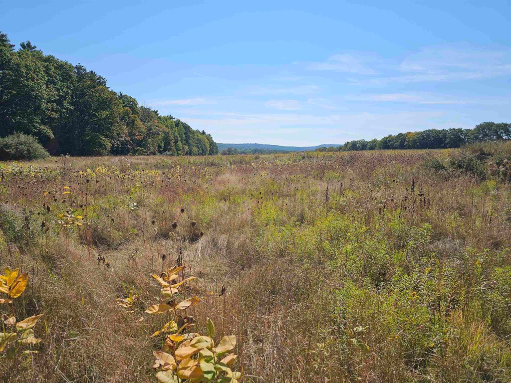 Photo of 0 Shaw Road, Barnstead, NH 03218 (MLS # 5061438)