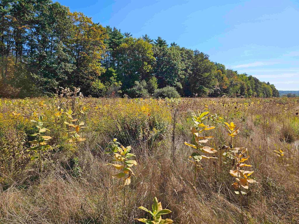 Photo of 0 Shaw Road, Barnstead, NH 03218 (MLS # 5061438)