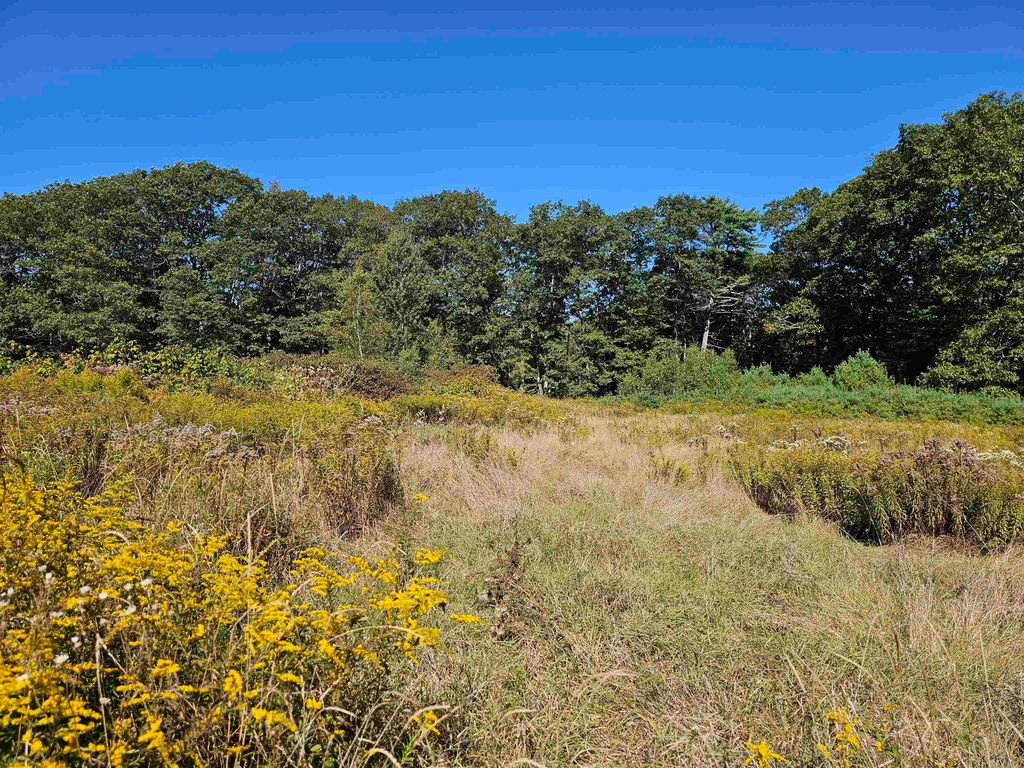 Photo of 0 Shaw Road, Barnstead, NH 03218 (MLS # 5061438)