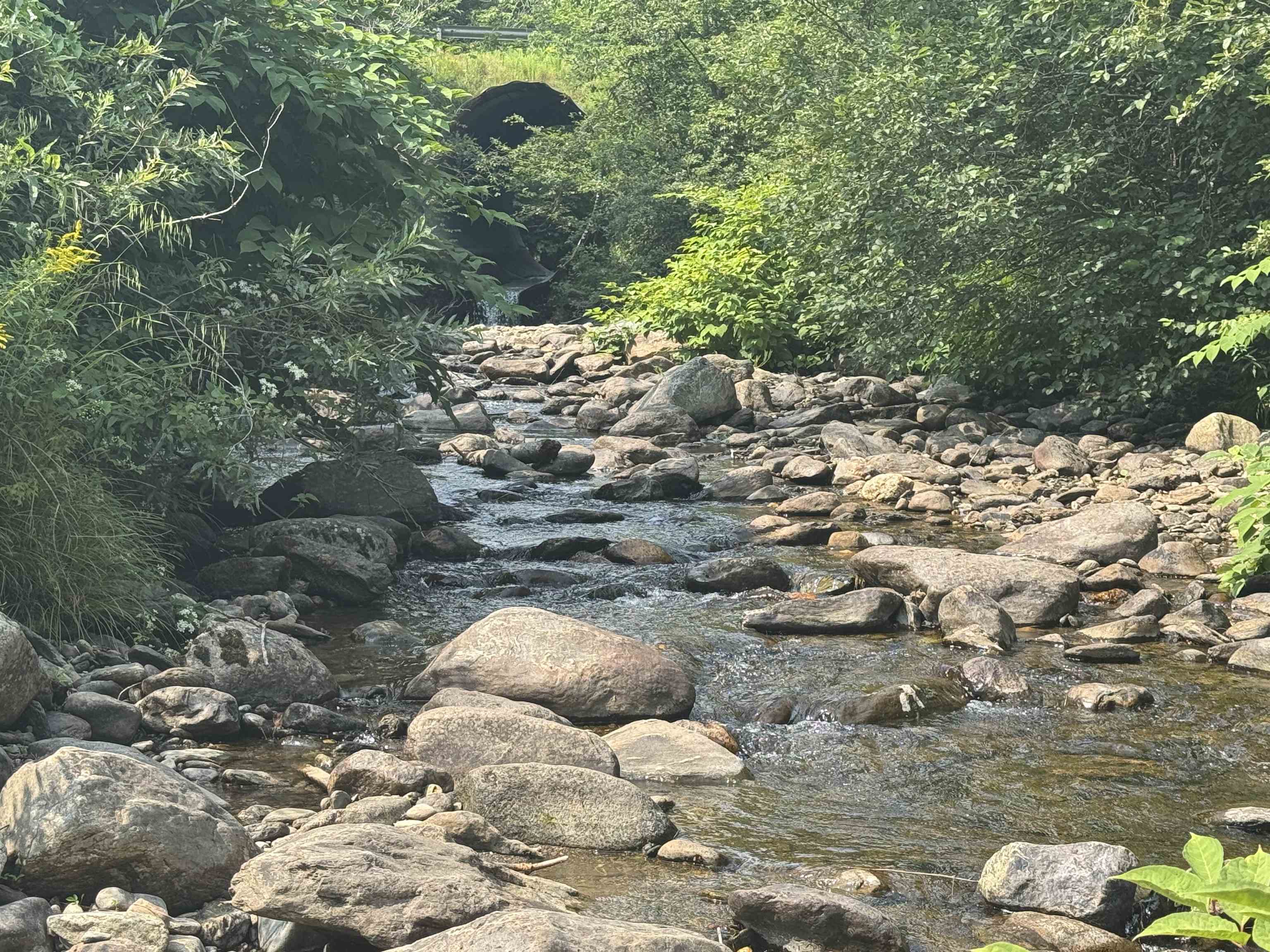 Johnson, Vermont 05656, United States, 2 Bedrooms Bedrooms, ,1 BathroomBathrooms,Residential,Pending,206615