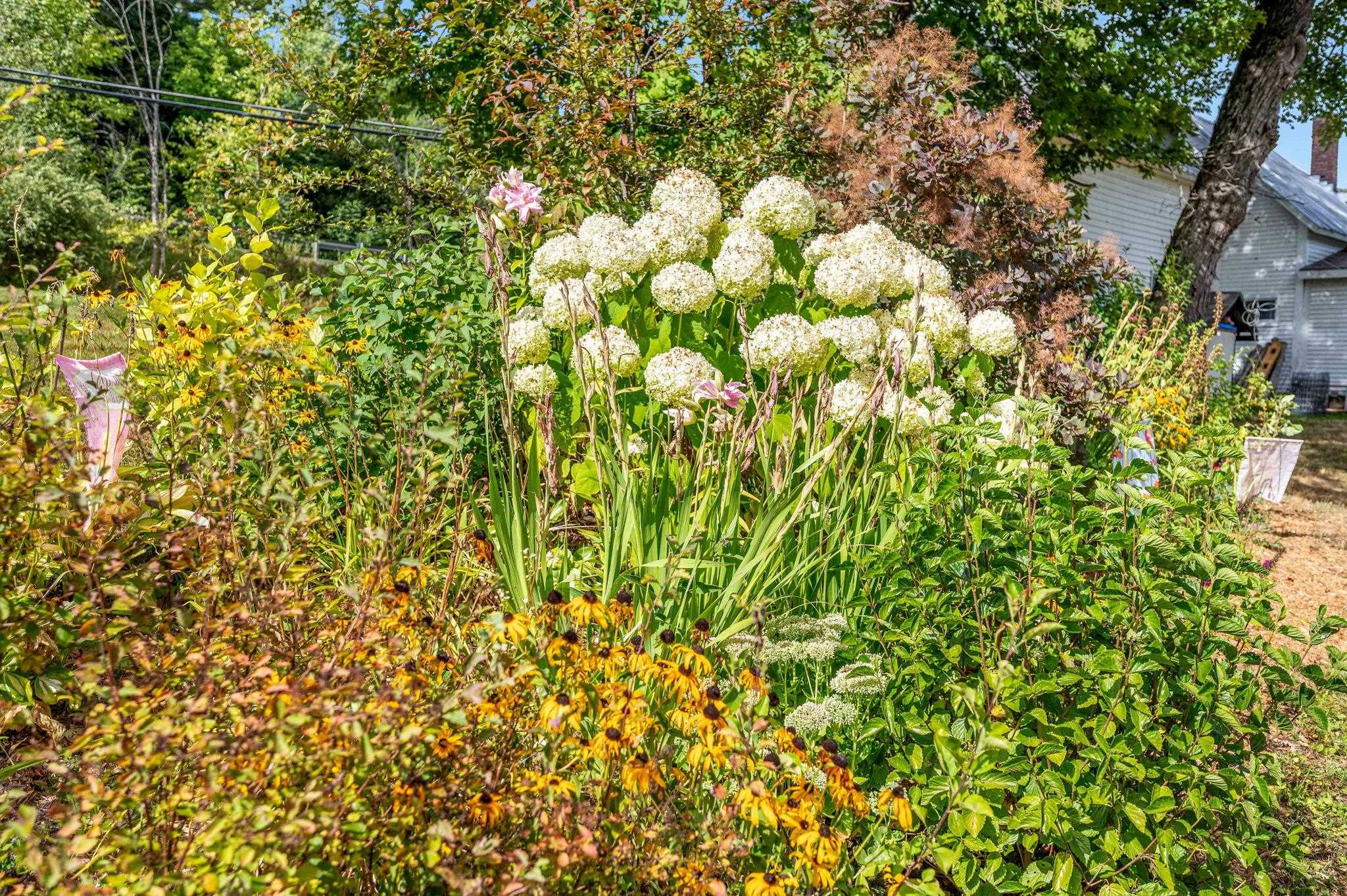 Johnson, Vermont 05656, United States, 2 Bedrooms Bedrooms, ,1 BathroomBathrooms,Residential,Pending,206615