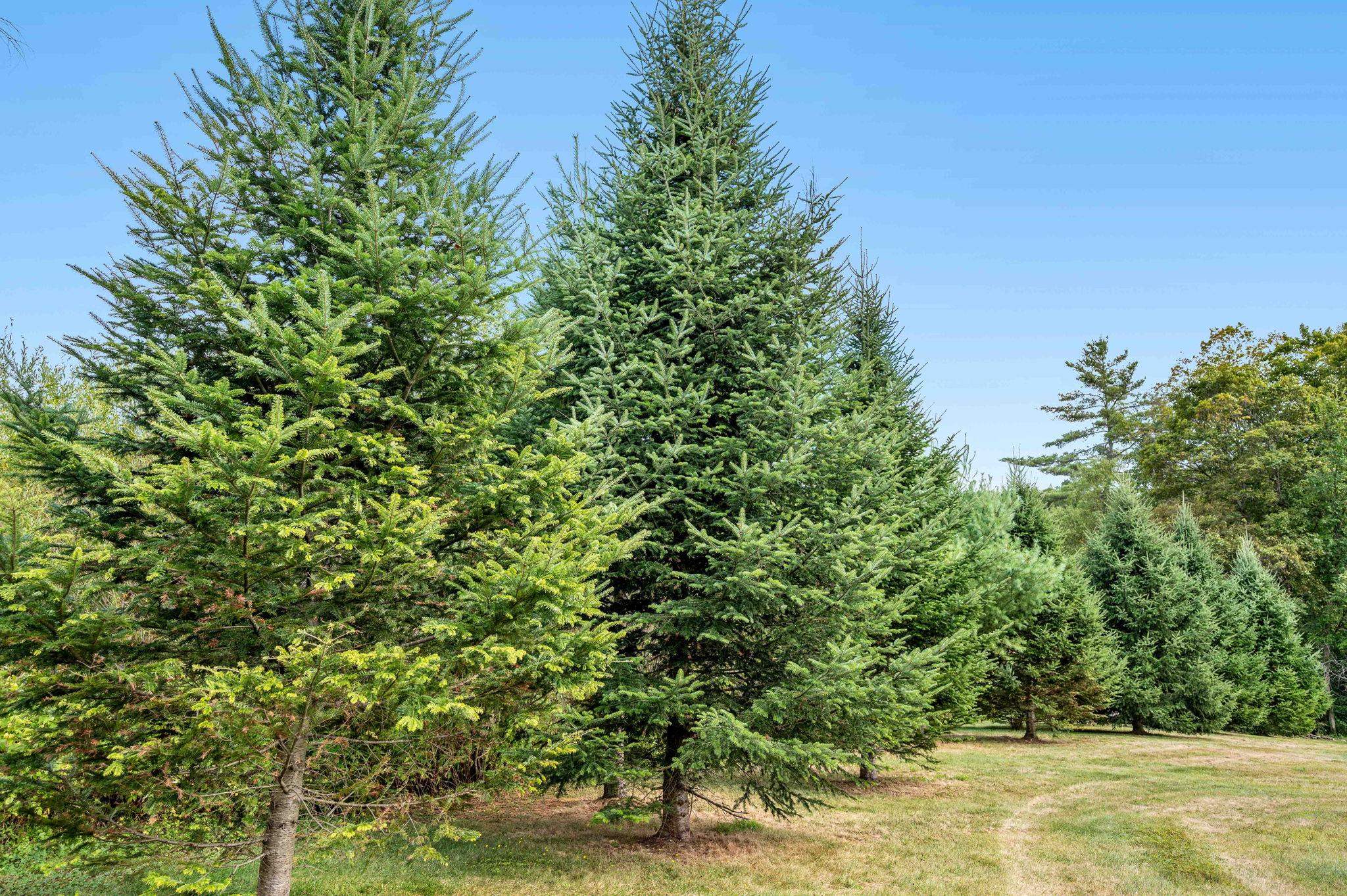 Johnson, Vermont 05656, United States, 2 Bedrooms Bedrooms, ,1 BathroomBathrooms,Residential,Pending,206615