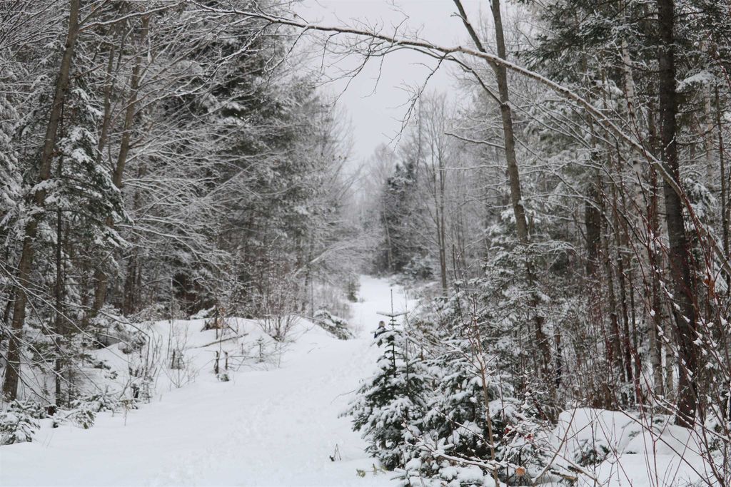 Photo of 26 Railroad Street, Milan, NH 03588 (MLS # 4991289)