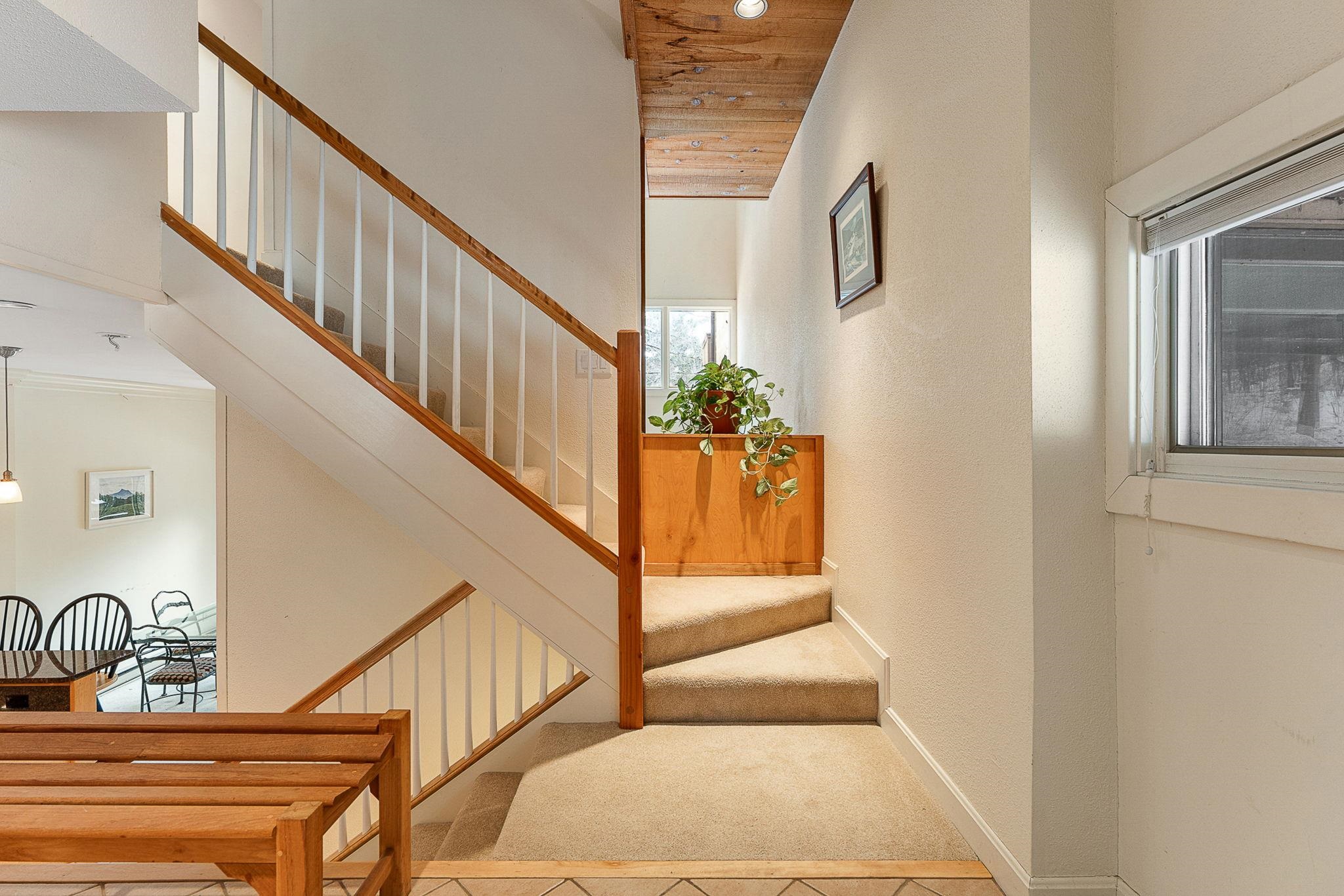 19 Timberline Drive 9