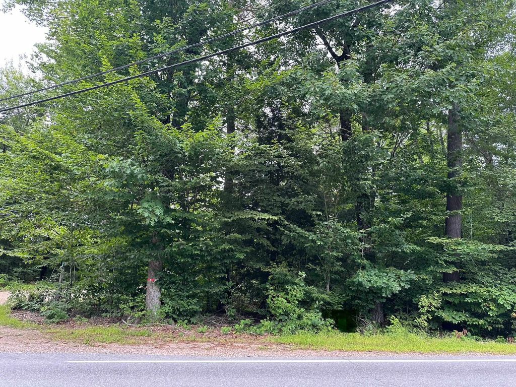 Photo of Fox Road #lot 55, Middleton, NH 03887 (MLS # 5010590)
