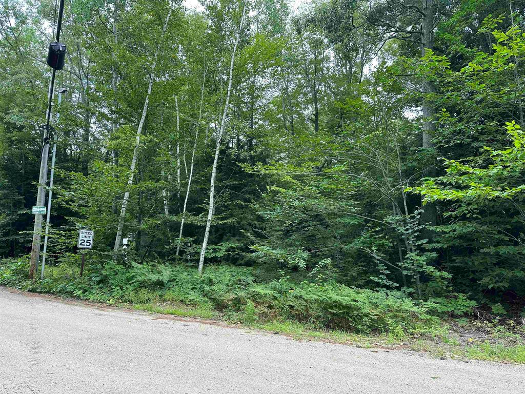 Photo of Fox Road #lot 55, Middleton, NH 03887 (MLS # 5010590)