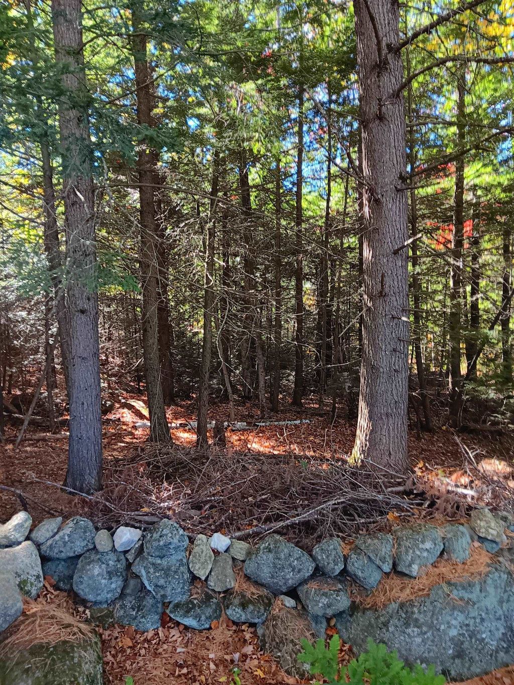 Photo of 2046 Dole School House Road, Washington, NH 03280 (MLS # 5079610)