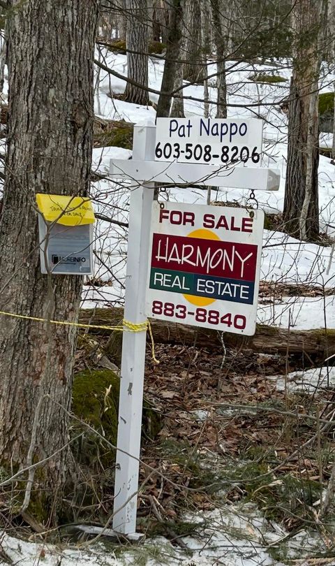 20-46 Dole School House Road Washington NH 03280