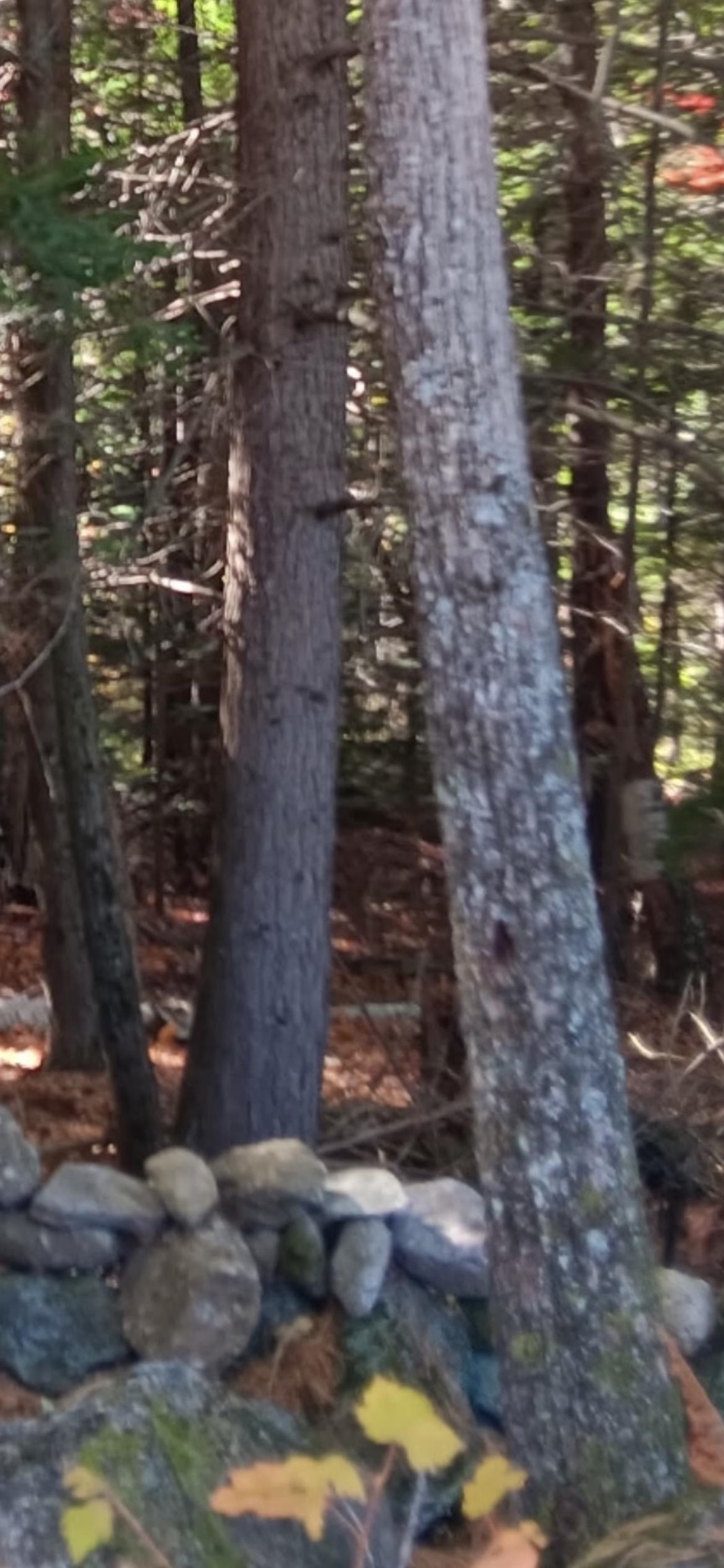 20-46 Dole School House Road