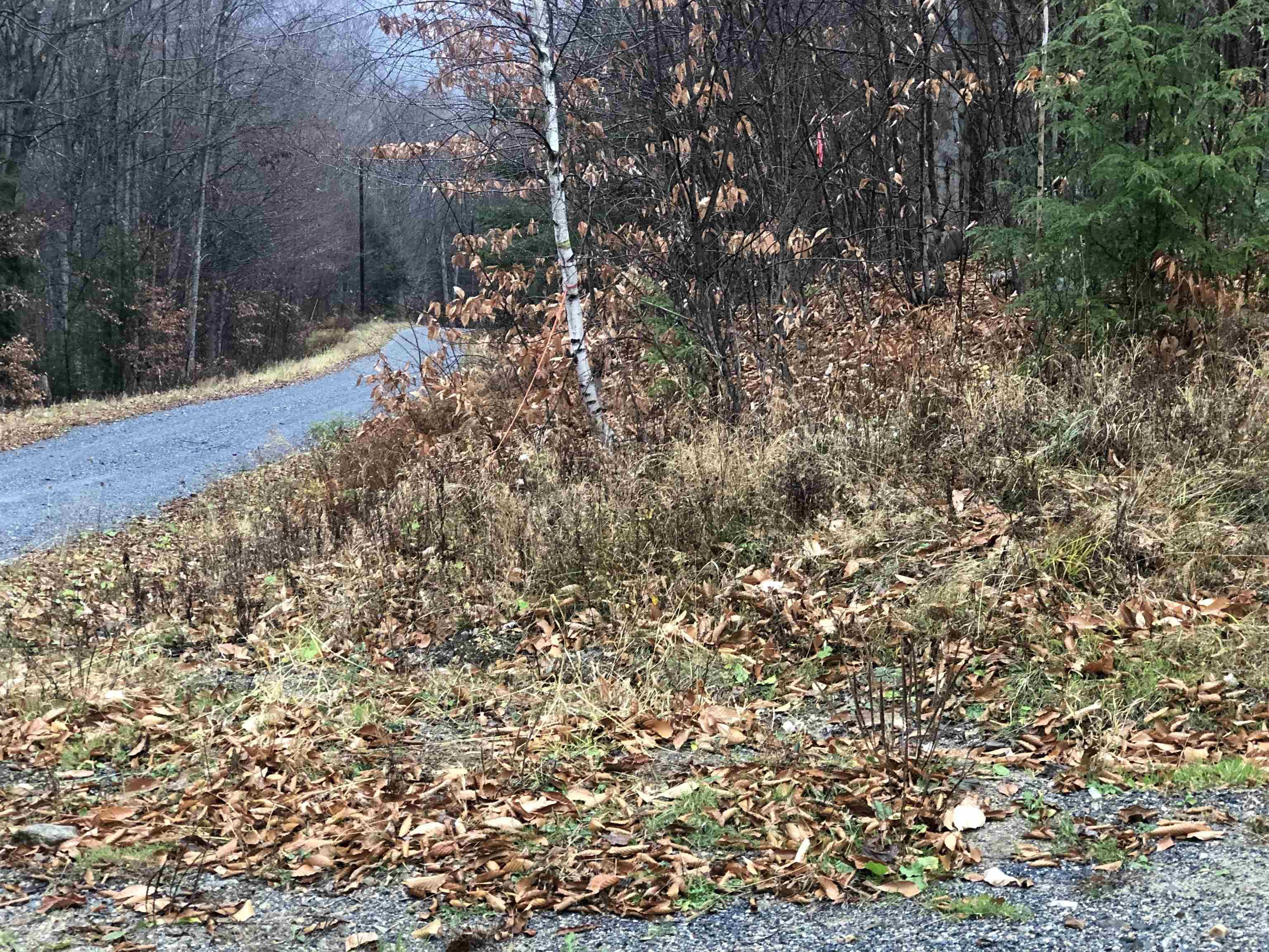 0 Andrea Drive parcel id 00PR32025R; 00PR32023R