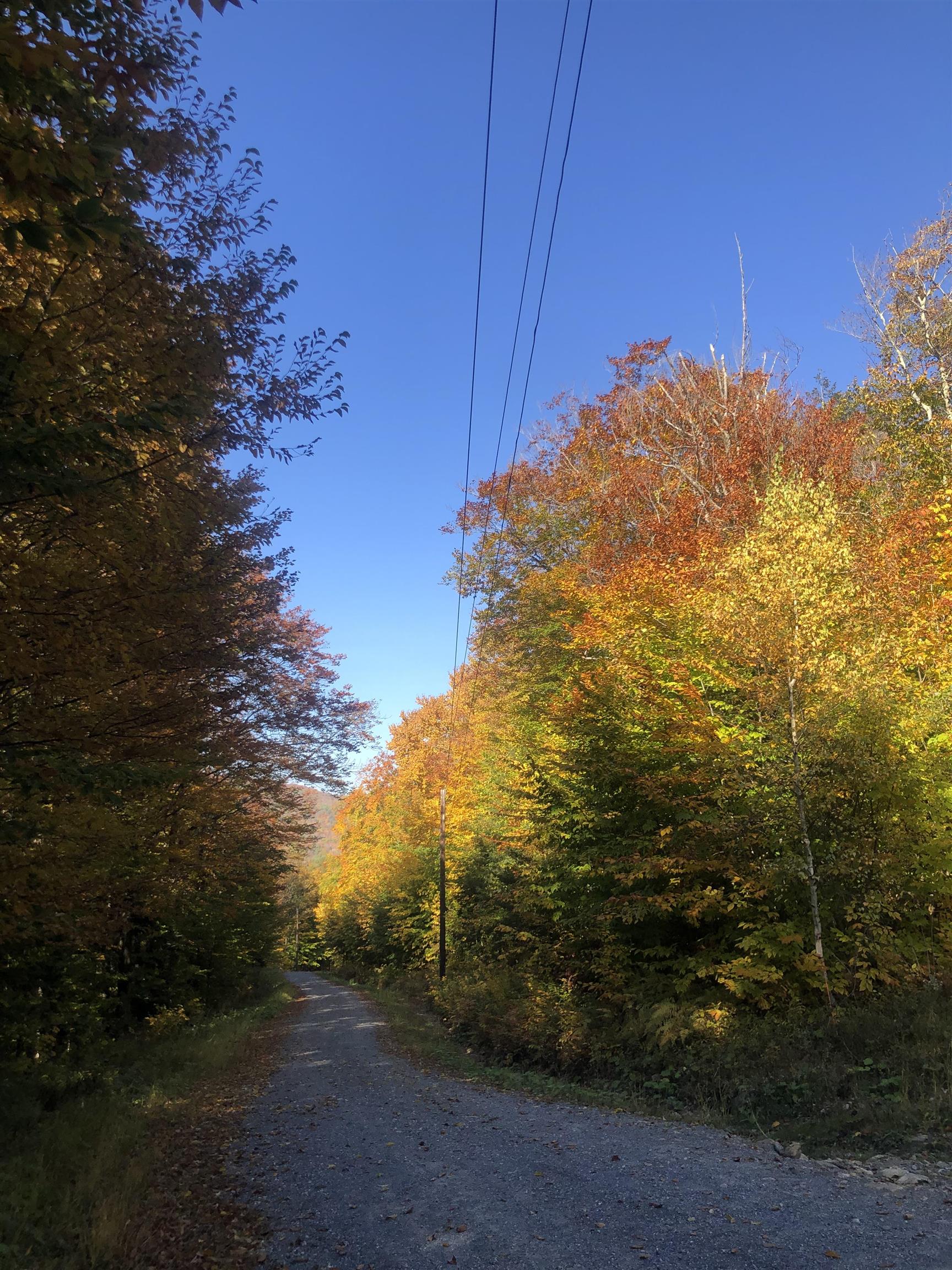 0 Andrea Drive parcel id 00PR32025R; 00PR32023R