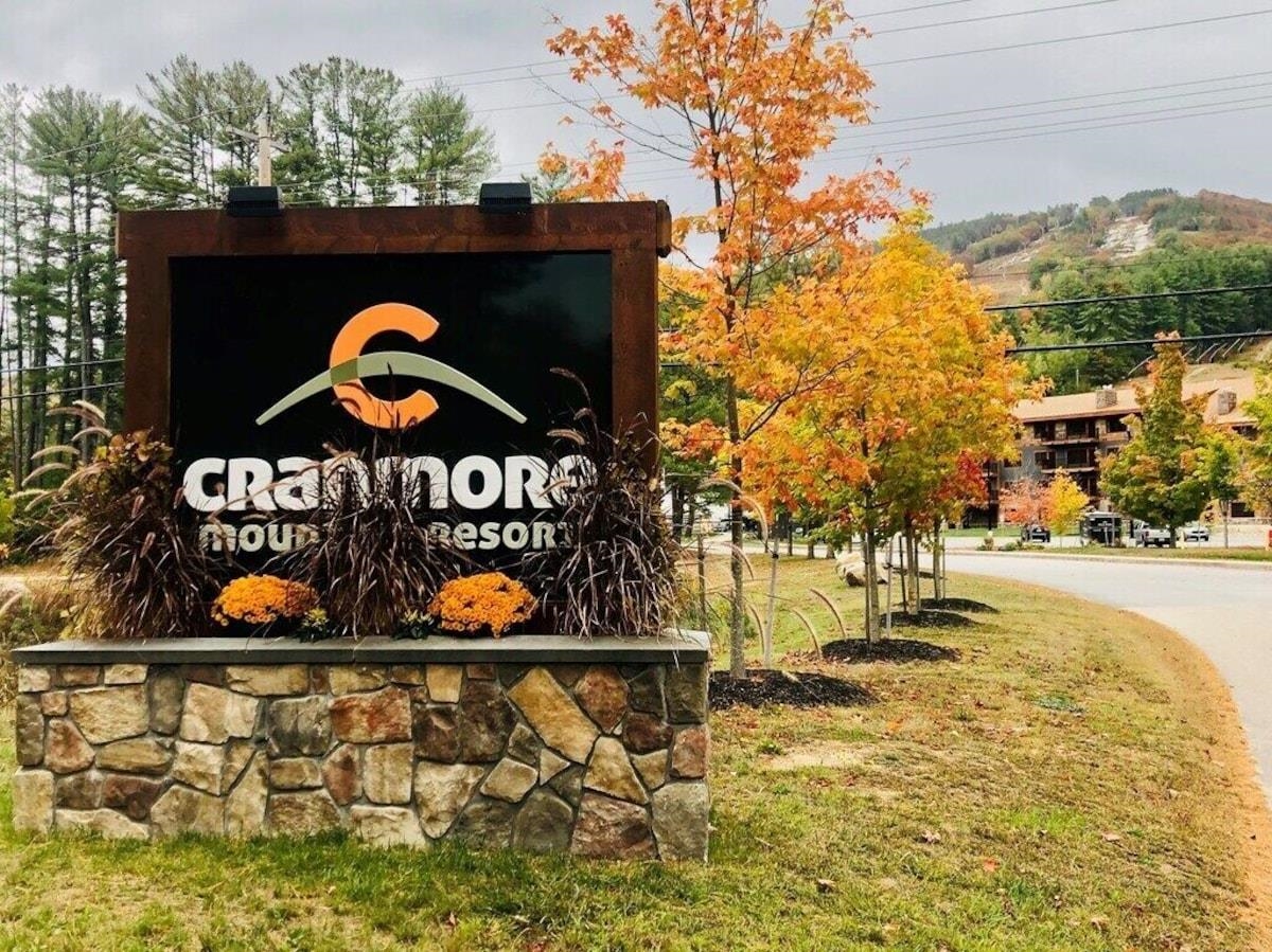 239 Skimobile Road 302