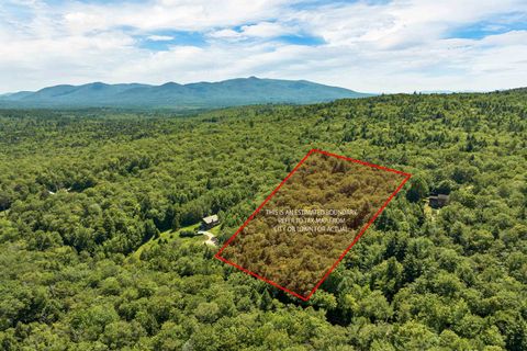 410-46 Hannah Road Sandwich NH 03227