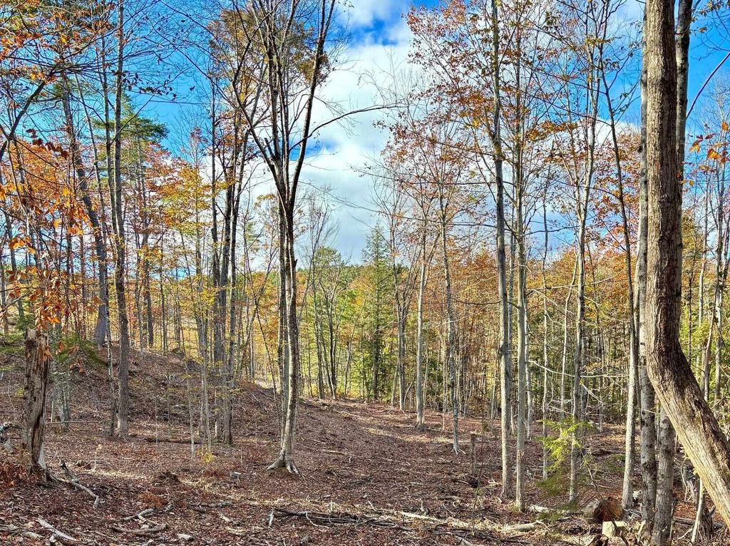 Photo of 2223 Fisher Road, Deering, NH 03244 (MLS # 5074952)