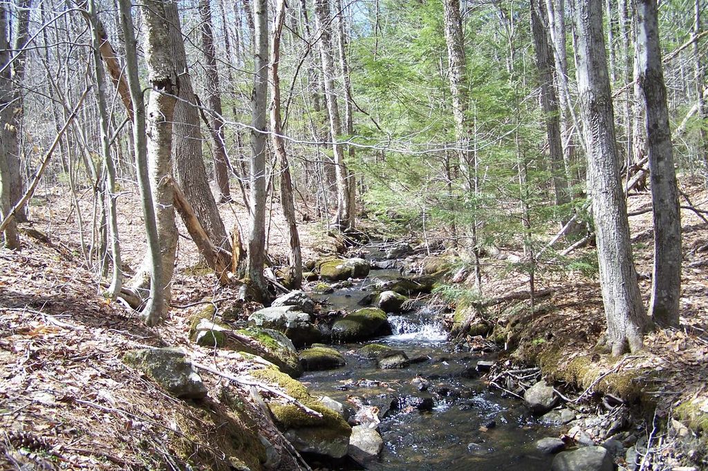 Photo of 2223 Fisher Road, Deering, NH 03244 (MLS # 5074952)