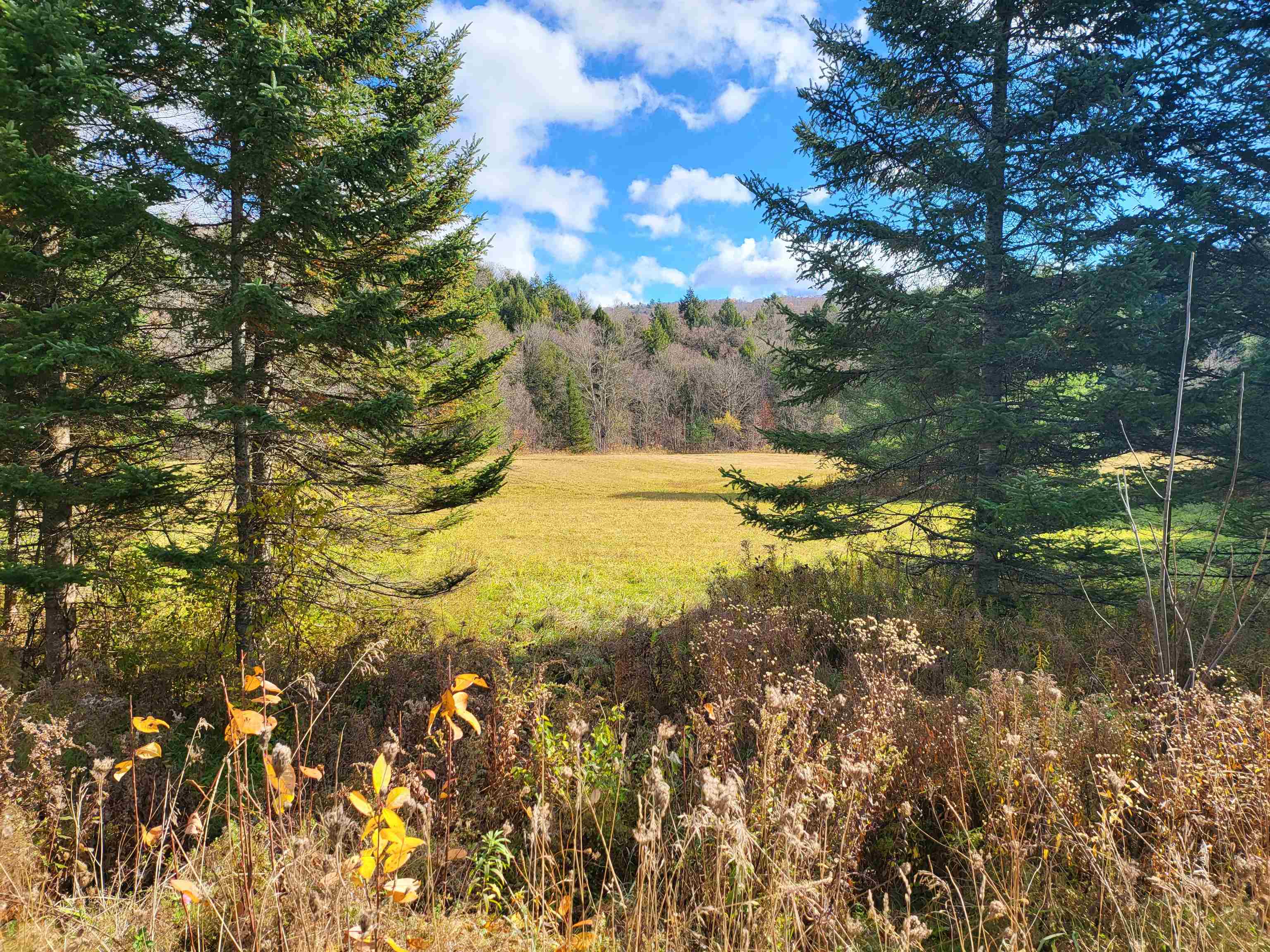 Calais, Vermont 05650, United States, ,Land,Active,108495