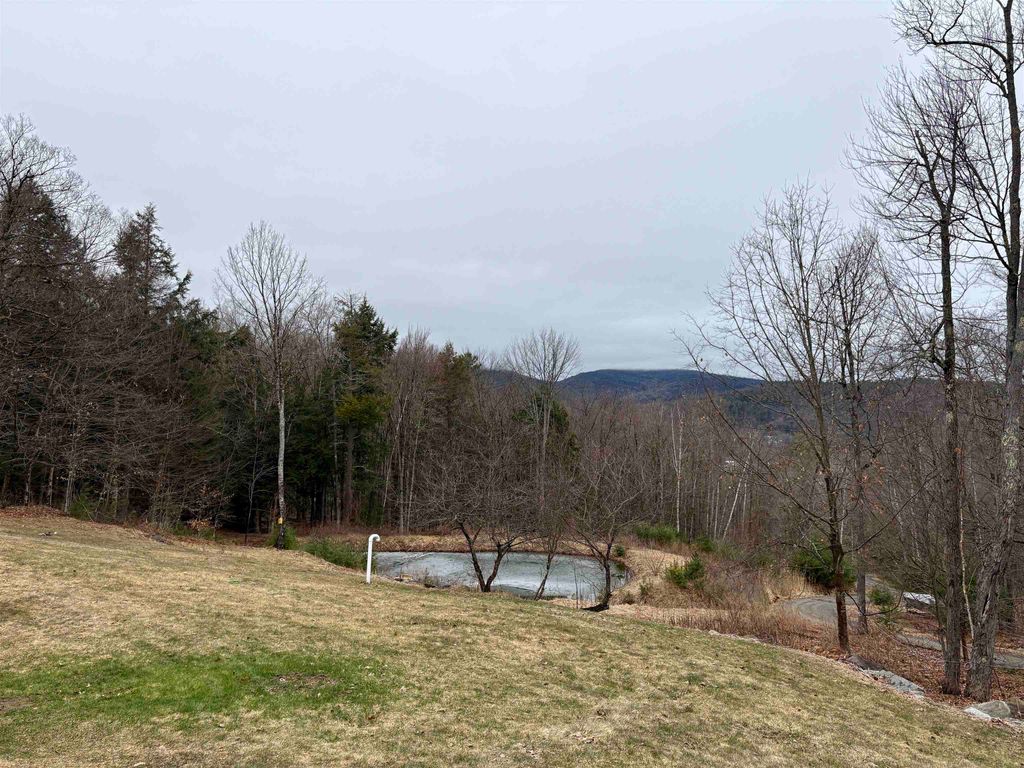 Photo of 100 Sawyer Brook Road, Orford, NH 03777 (MLS # 5083440)