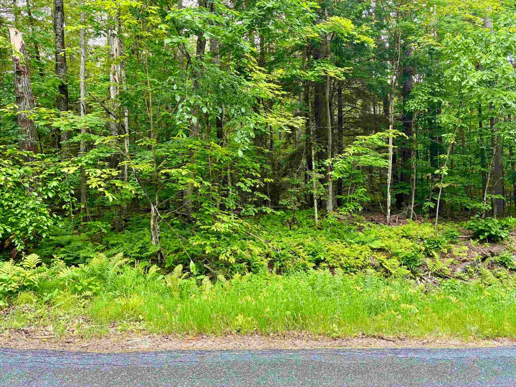 Photo of 6 North Skinny Ridge Road #51-5 Lot 6, Littleton, NH 03561 (MLS # 5061651)