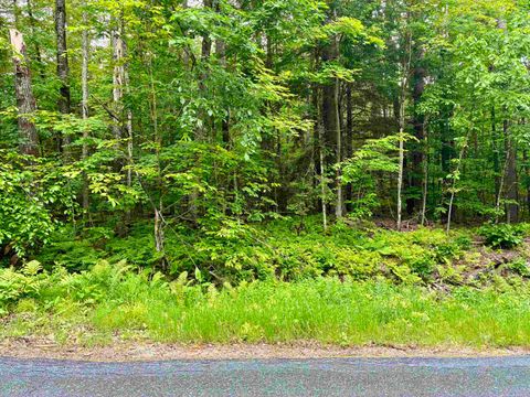 Lot 6 North Skinny Ridge Road 51-5 Lot 6 Littleton NH 03561