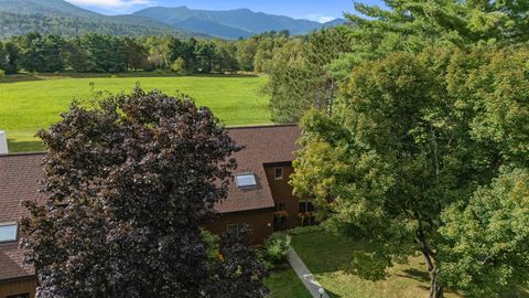 479 Stonybrook Road 33 Stowe VT 05672