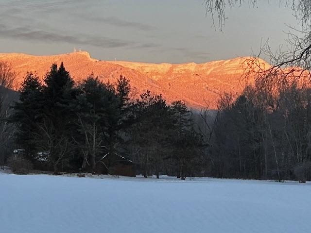 479 Stonybrook Road 33