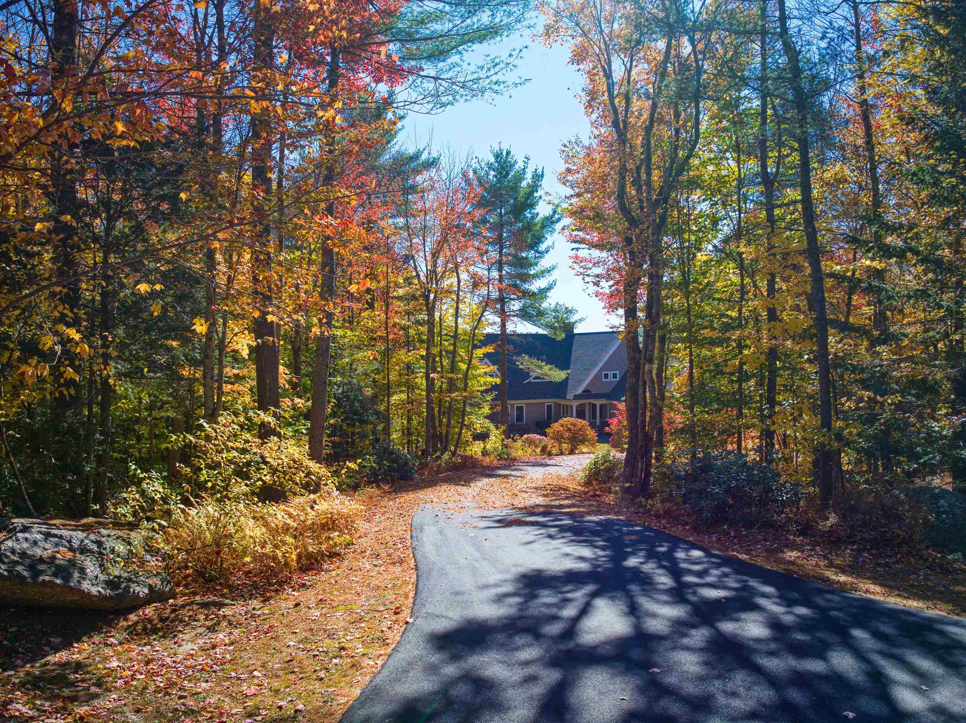 231 Woodland Trace