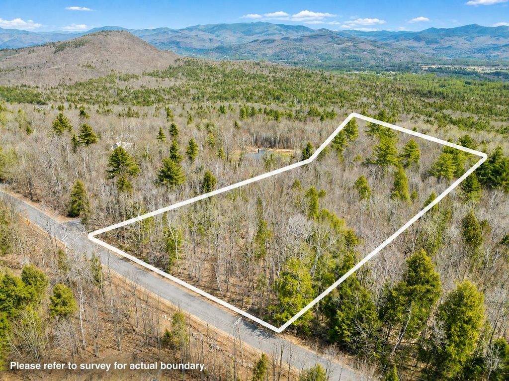 Photo of 0 Puckerbrush Road, Campton, NH 03223 (MLS # 5084993)
