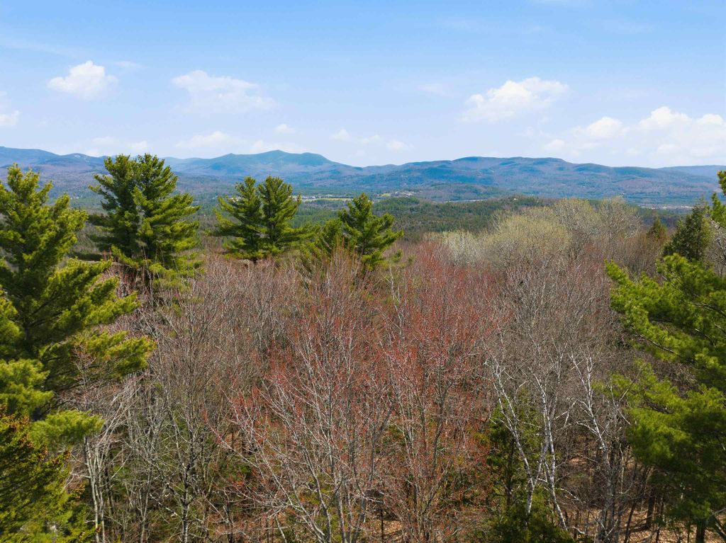 Photo of 0 Puckerbrush Road, Campton, NH 03223 (MLS # 5084993)