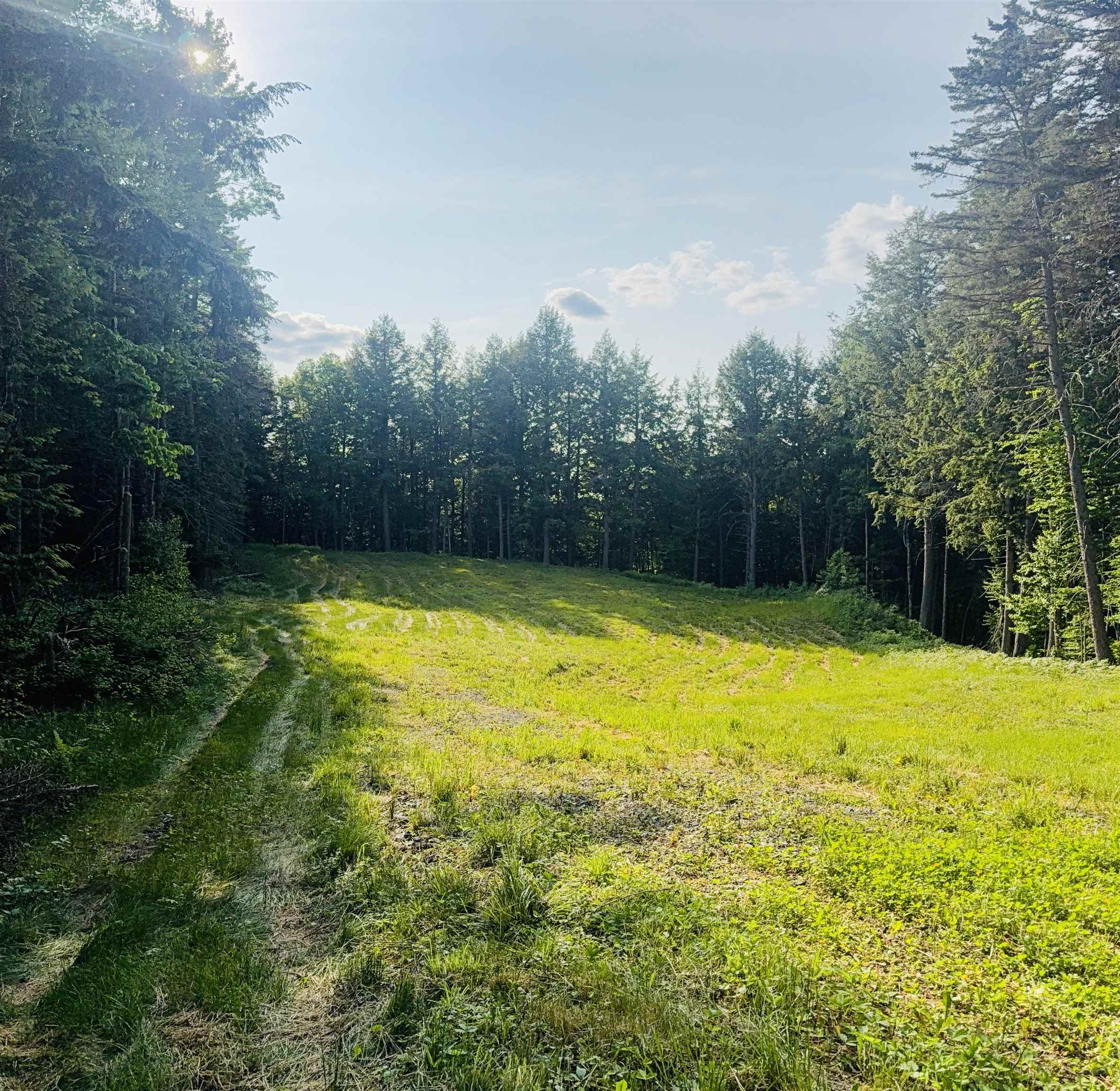 00 Guy's View Road 5