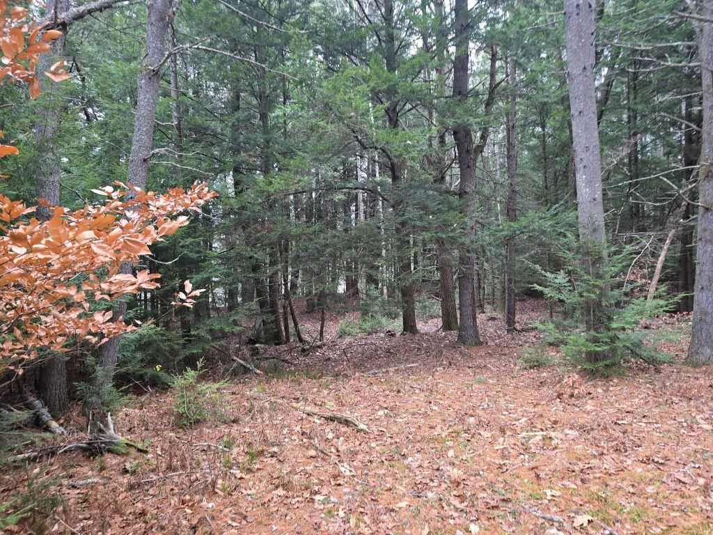Photo of 00 Stage Road, Unity, NH 03603 (MLS # 5070482)