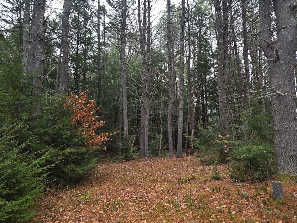 Photo of 00 Stage Road, Unity, NH 03603 (MLS # 5070482)