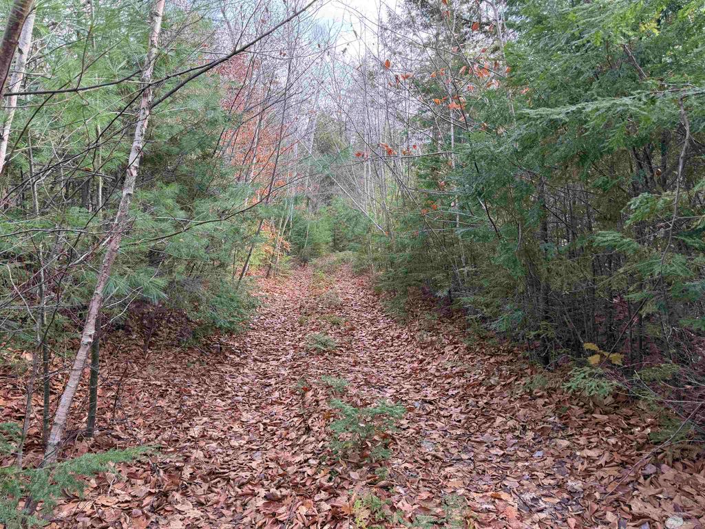 Photo of 2951 Middleton Road, Milton, NH 03851 (MLS # 5069611)