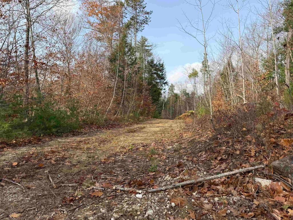 Photo of 2951 Middleton Road, Milton, NH 03851 (MLS # 5069611)