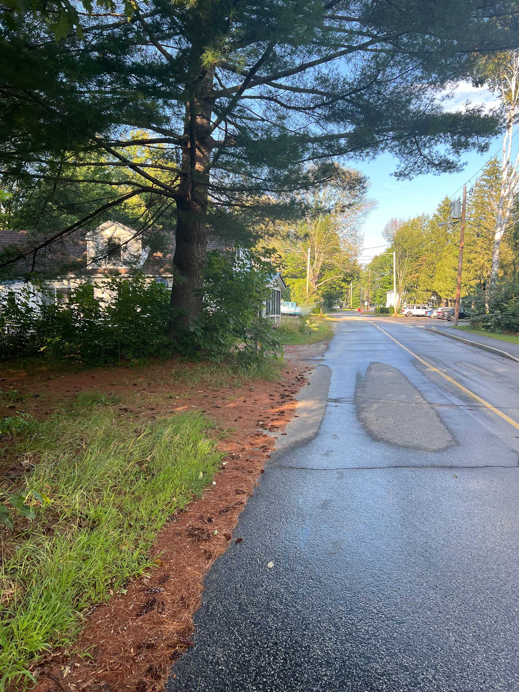 164 Pollard Road