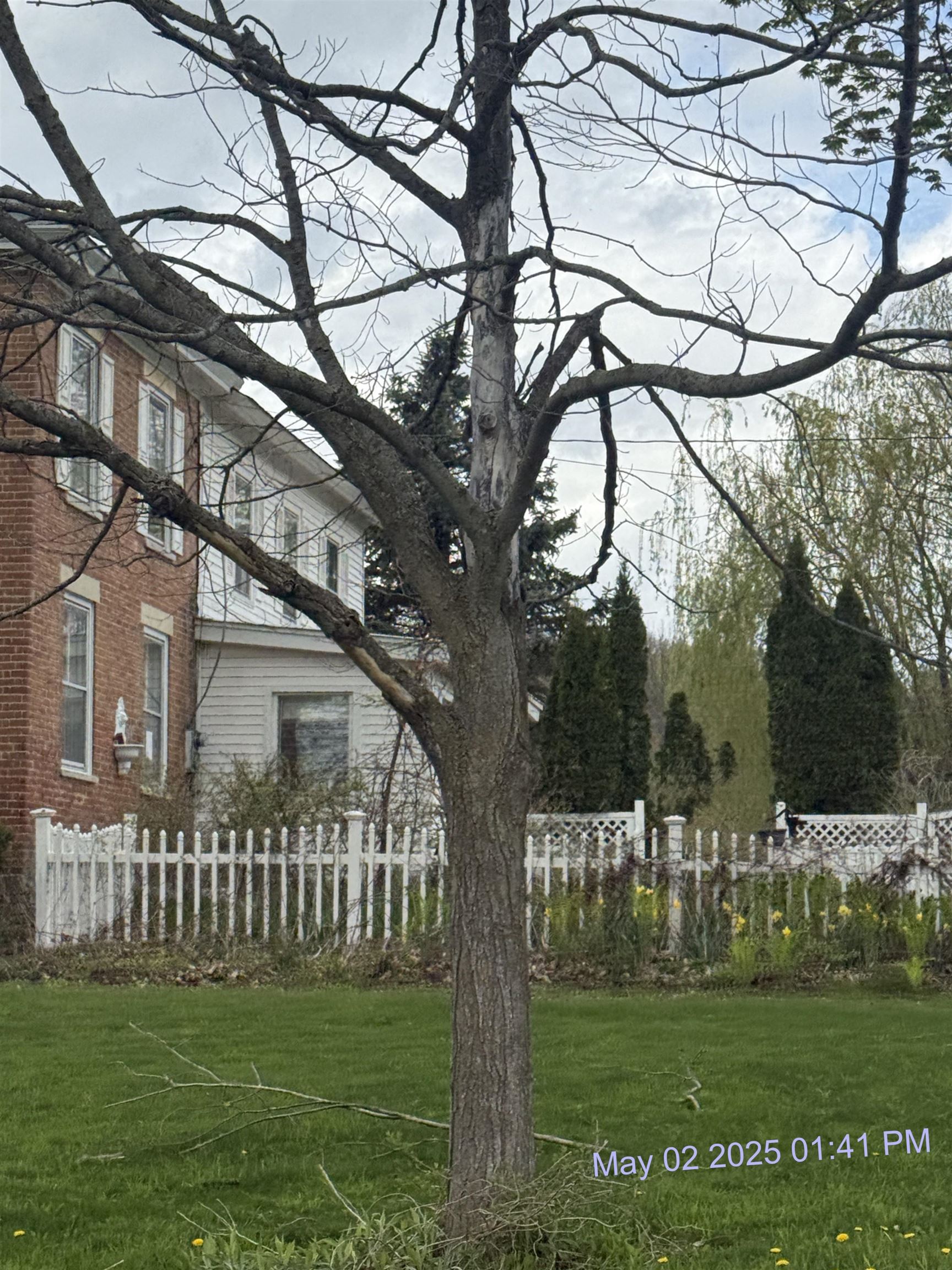 6614 Main Road