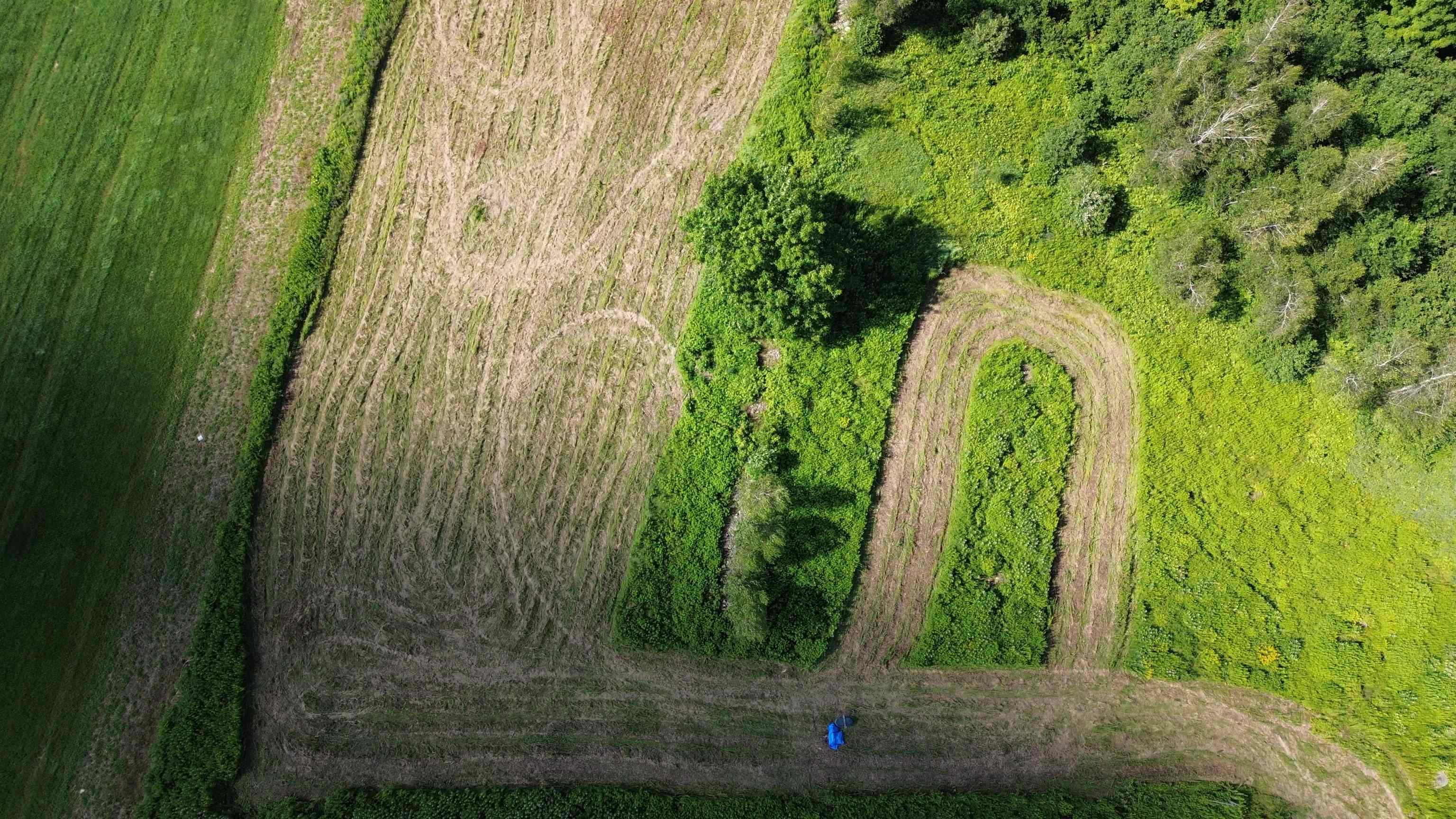 3040 Woodward Neighborhood Road