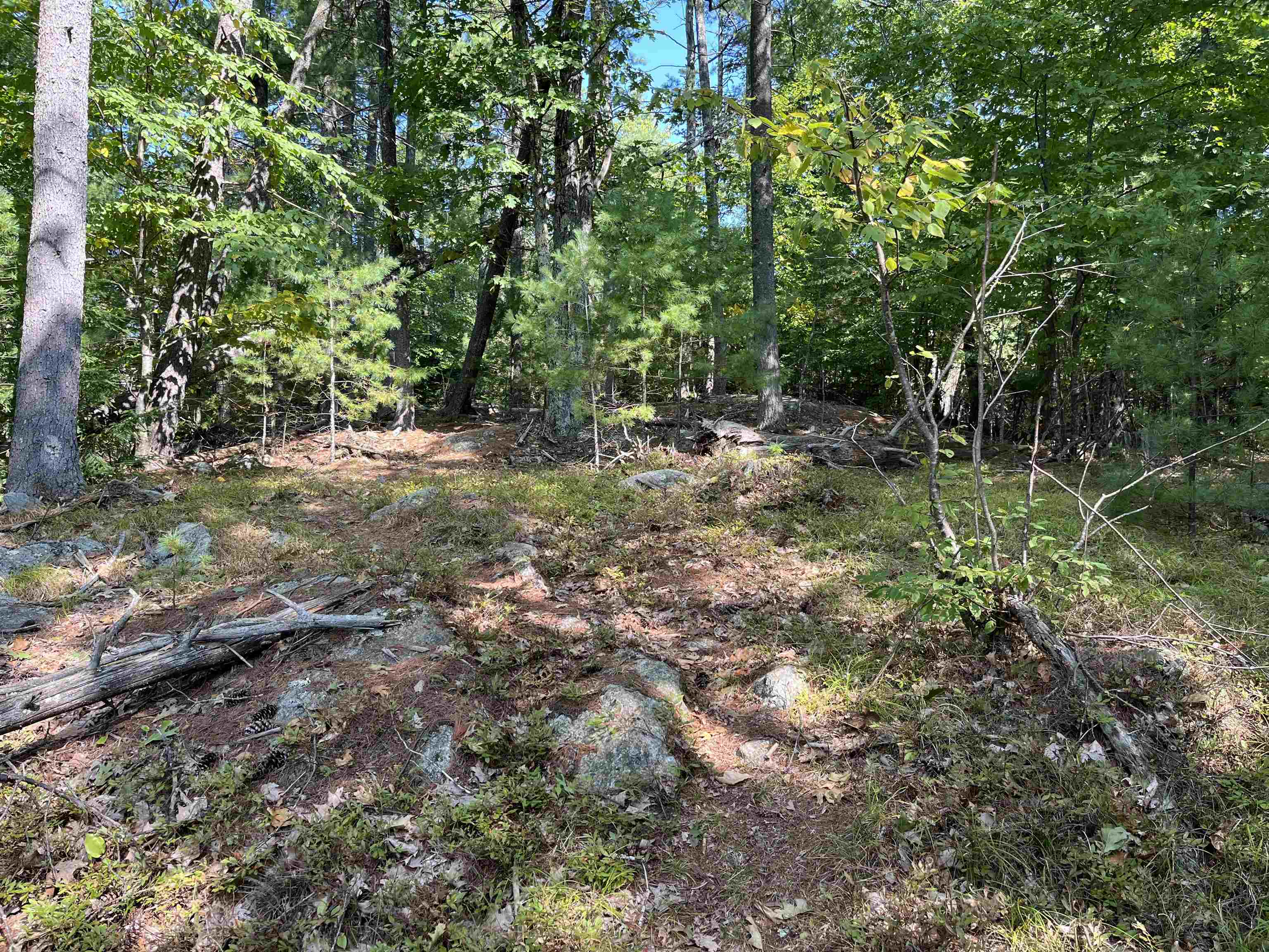 Old Stoddard Road