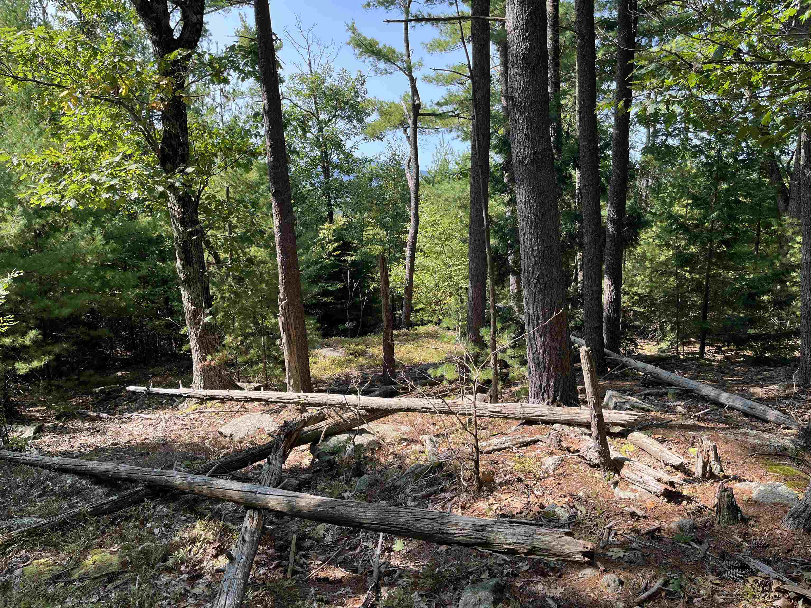 Old Stoddard Road