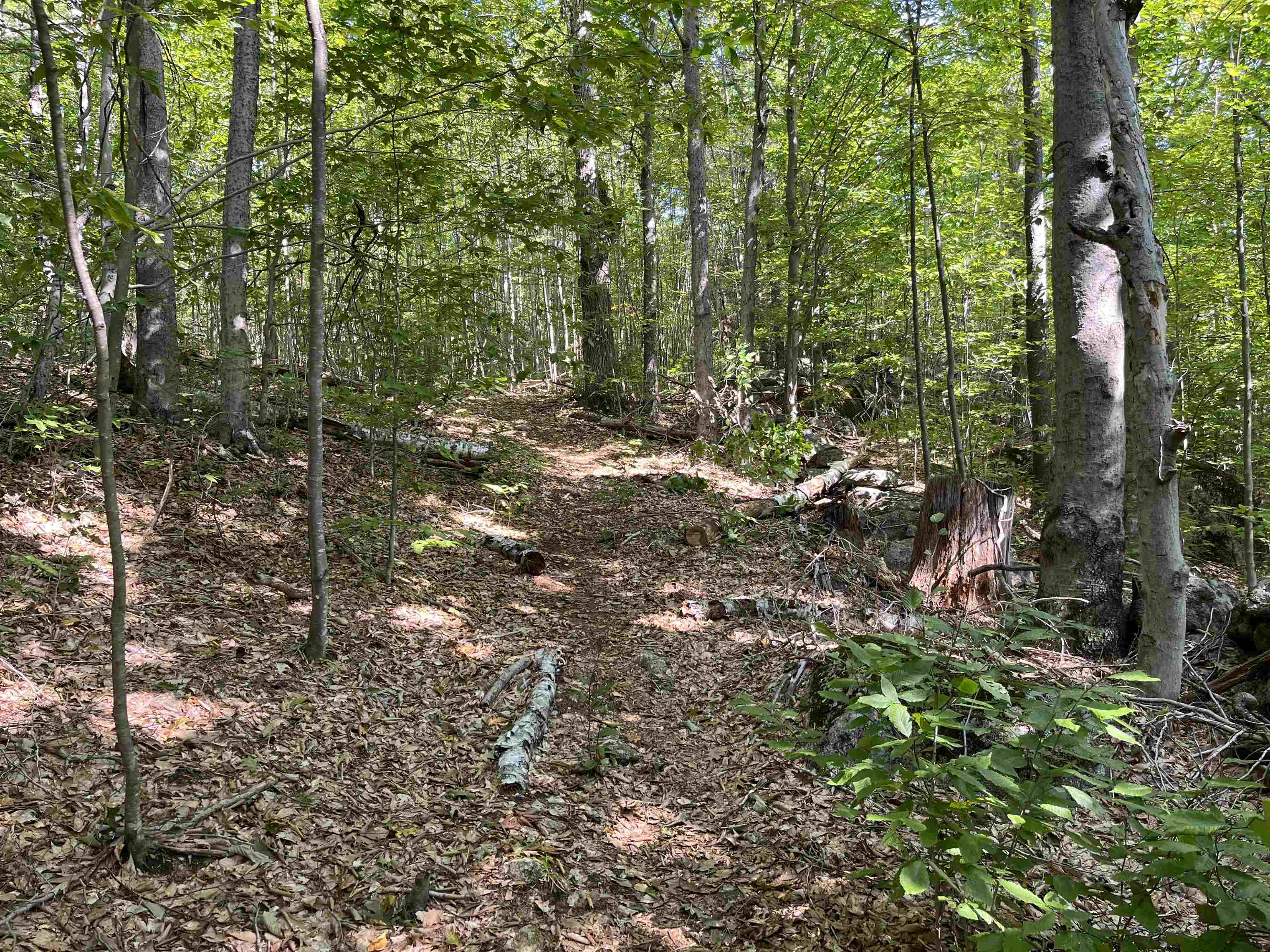 Old Stoddard Road