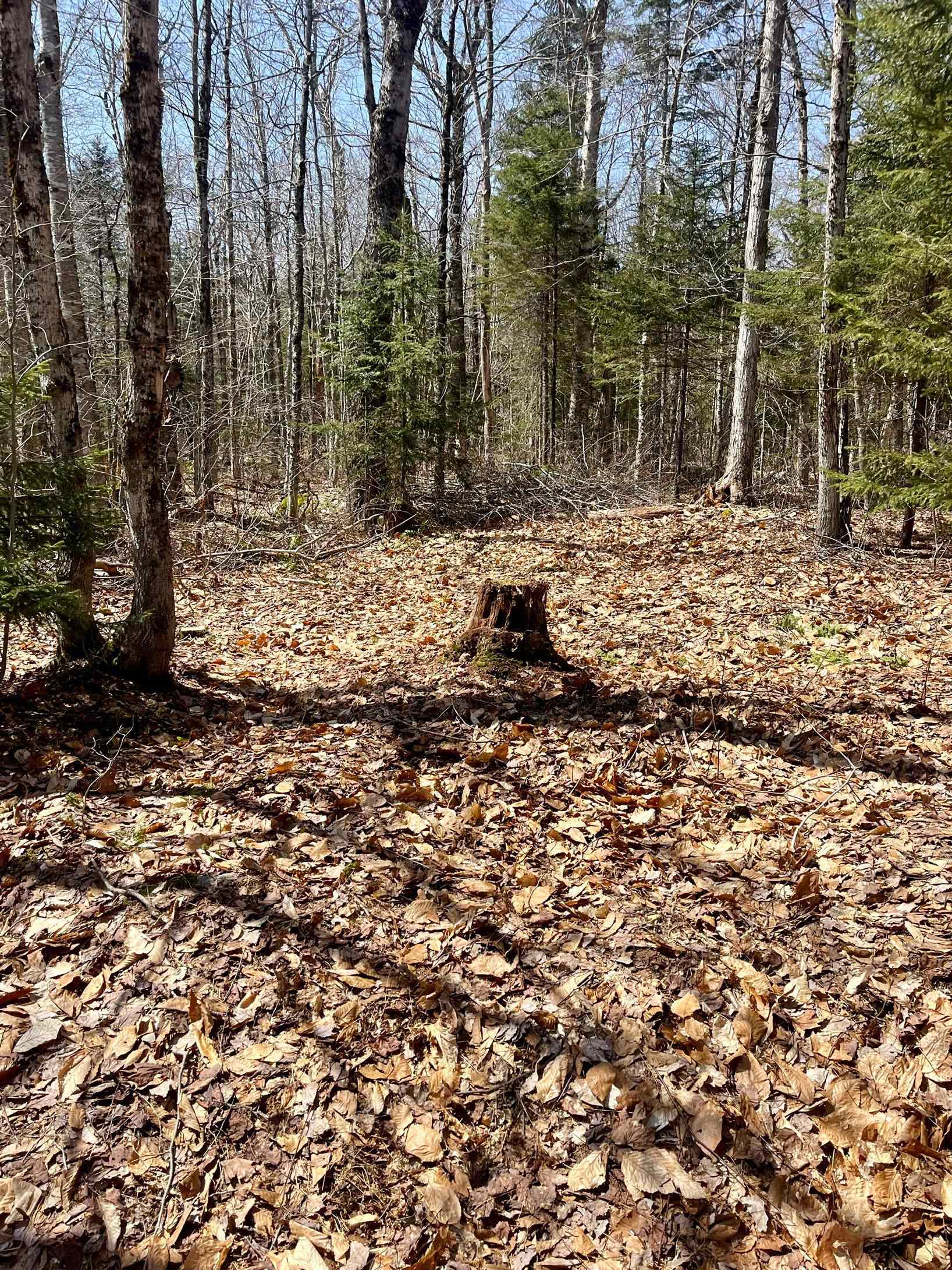 00 Oberdorf Road Lot 276