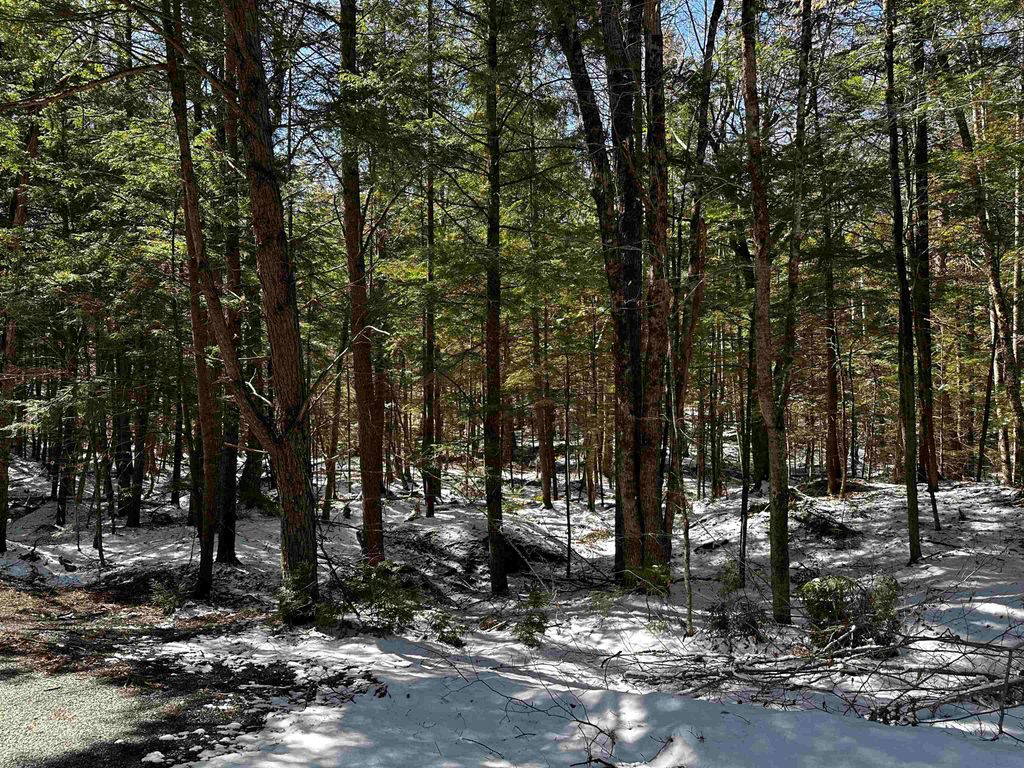 Photo of 118 Pauls Place #118, Enfield, NH 03748 (MLS # 5035552)