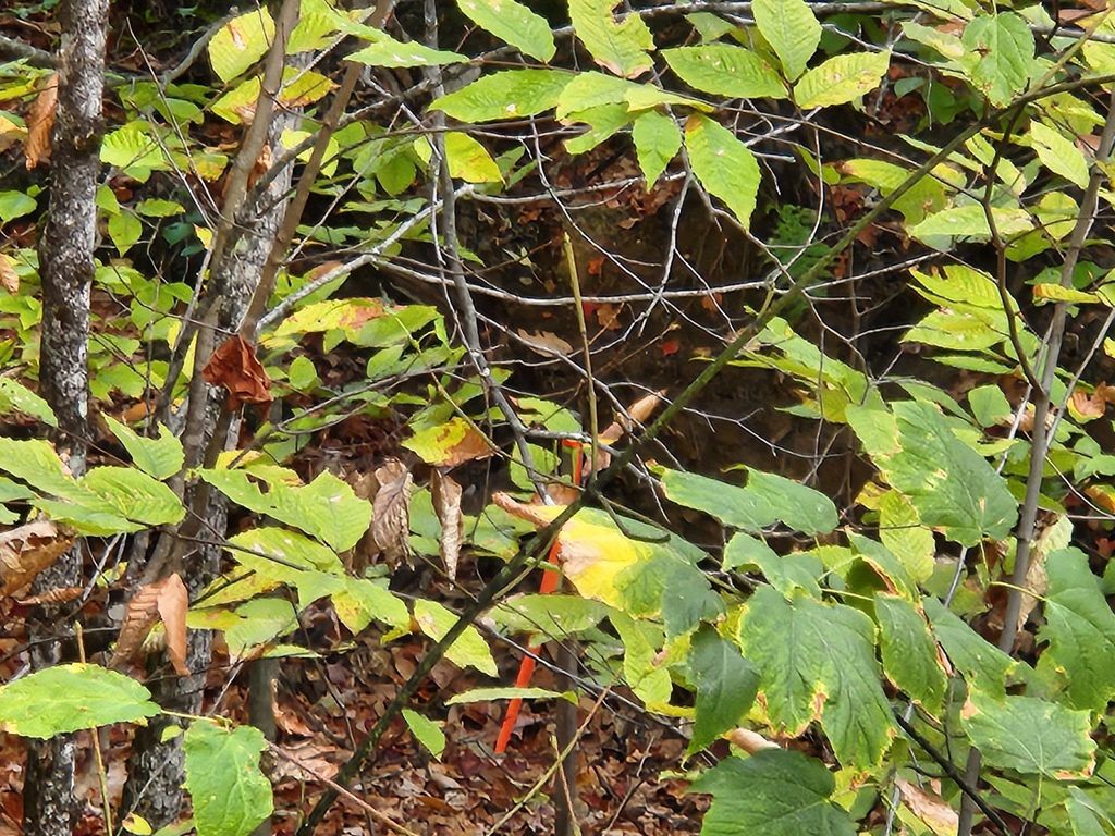 Photo of Bagley Hill Road #66, Warner, NH 03278 (MLS # 5066107)