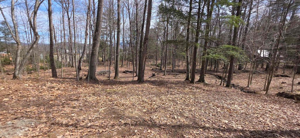 Photo of Mitchell Road, Thornton, NH 03223 (MLS # 5085643)