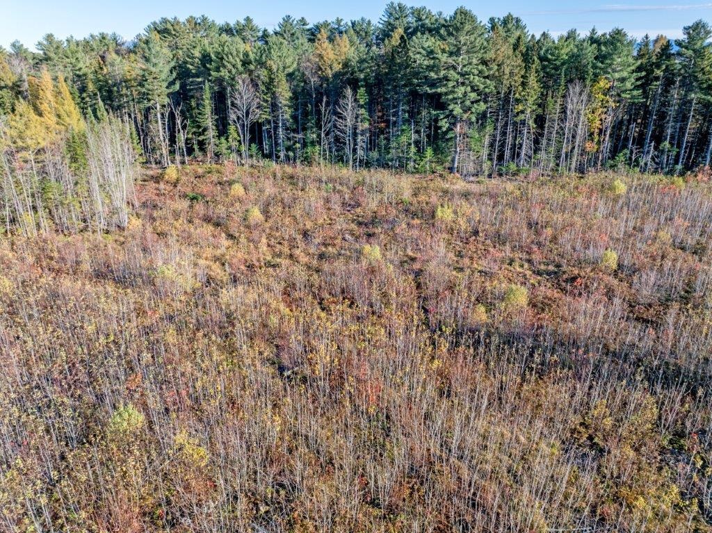 Lot 8 McIntyre Road