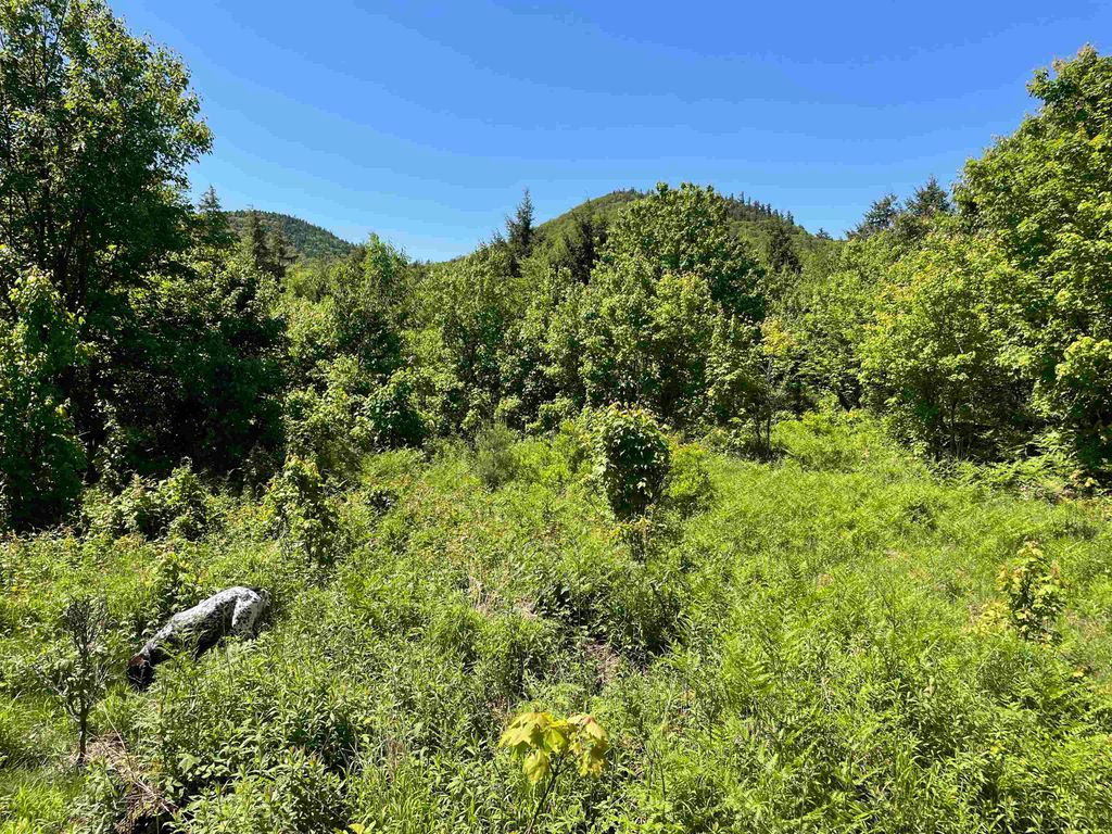 Photo of 0 Alder Plains Road, Bradford, NH 03221 (MLS # 5086576)