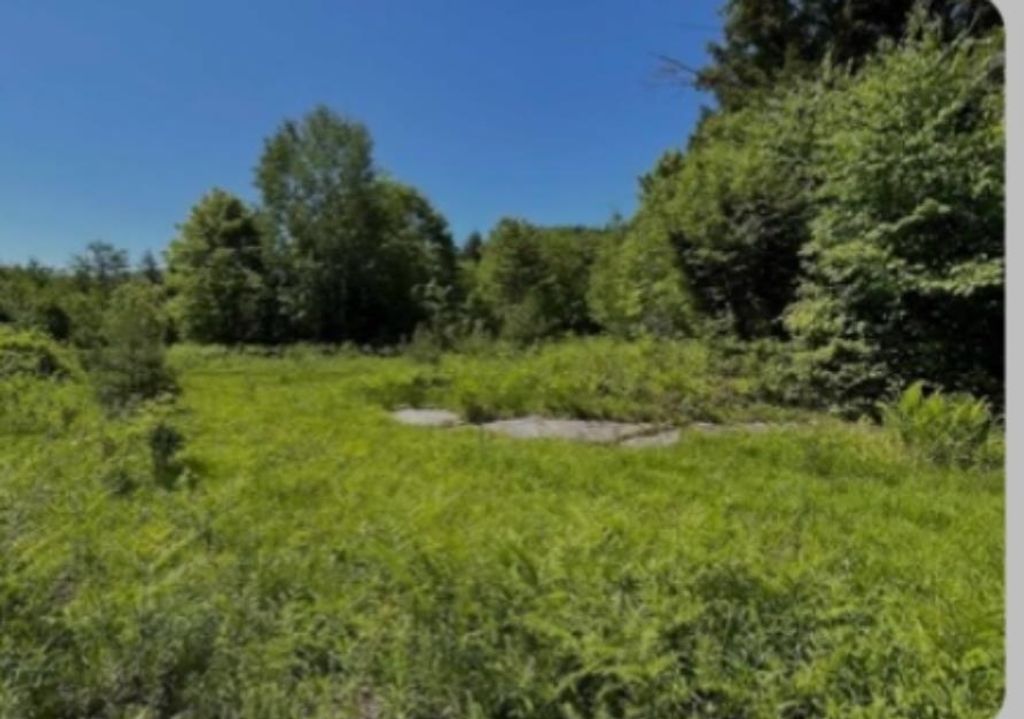 Photo of 0 Alder Plains Road, Bradford, NH 03221 (MLS # 5086576)
